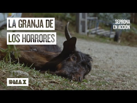 Miniatura del vídeo