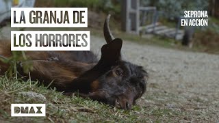 Thumbnail del capítulo