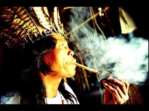 Mato Dentro - Dupla Caipira de Reggae