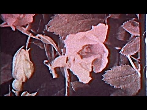 mewithoutYou - "Julia (or, 'Holy to the LORD' on the Bells of Horses)" (Official Audio)