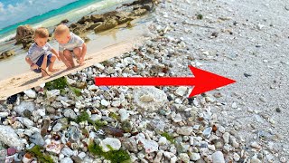 I am Fascinated by This! | Caribbean Sea Beach Sand 🐚
