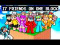 17 Friends On ONE BLOCK Minecraft