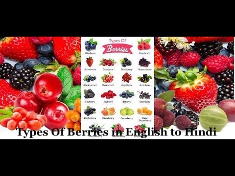 Types of Berries | Different types of berries with names in English to Hindi