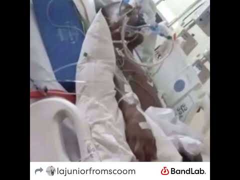 Ebktdot x 33gangjunior