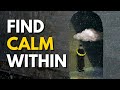 When You Stop Fighting Your Mind Everything Changes