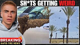 Israel just got swarmed by bees...