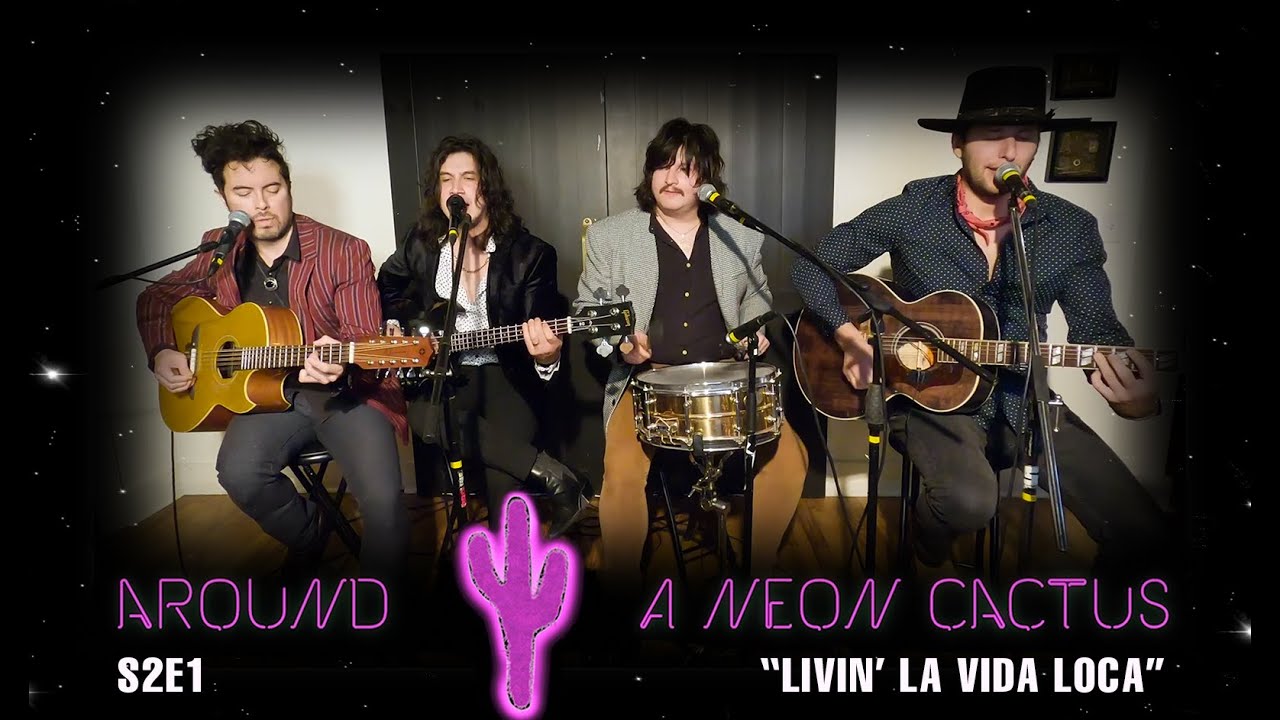 Livin' La Vida Loca (cover)