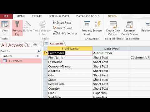 Microsoft Access Beginner Level 01. Lesson 06. Entering Data, Part 1