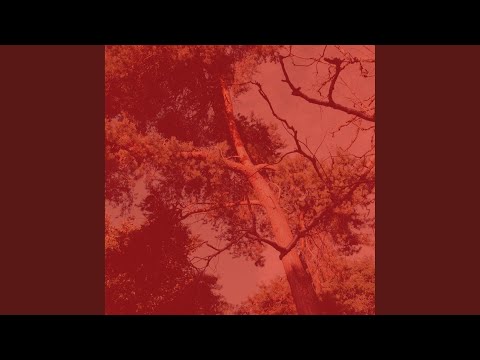 Vacanze Solare, Vibrazioni