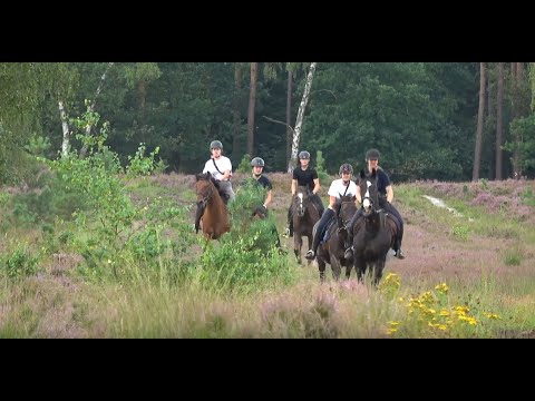 Video 3 aus  Reiter- und Ferienhof Cohrs