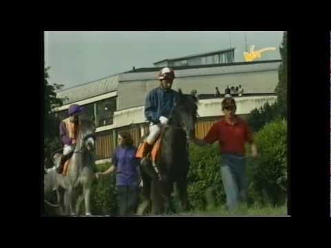 Derby arabskie - 28.07.1996 - Dekor (Fawor - Dekada)