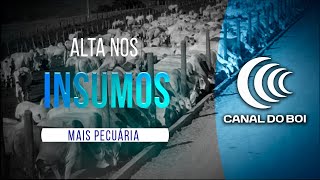 Miniatura do vídeo