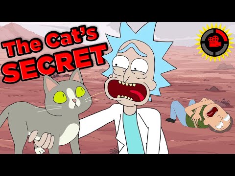 YouTube video about: Who wrote what the cat sees book?