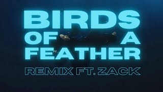 Download lagu BIRDS OF A FEATHER (remix) ft. ZACK mp3