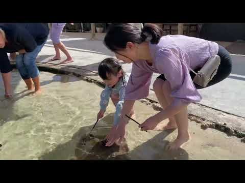 Ray feeding 2021.11.17