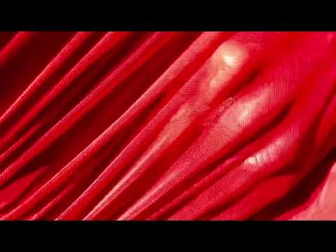 Miss Baby Sol - On The Dole (Visualiser)