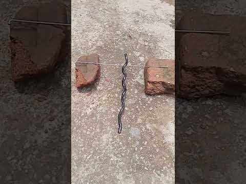 chitavar ki lakadi original garud Sanjivani lakadi available call me 9168216059