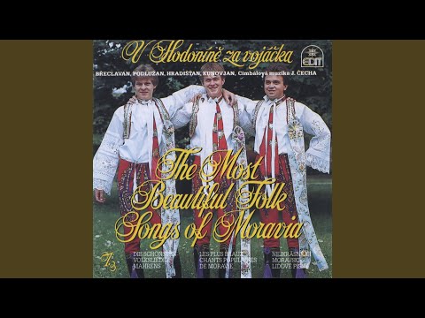 Ešče som sa neoženil