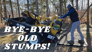 Getting a 1 acre field ready for tilling and raised beds. We rented a stump grinder.