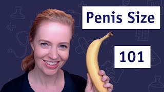 Normal Range for Penis Size 🍌