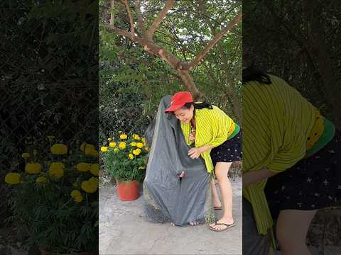 vui ngày mới 🥰🥰🥰