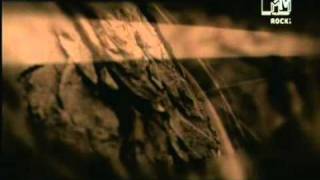 Borknagar   Future Reminiscense