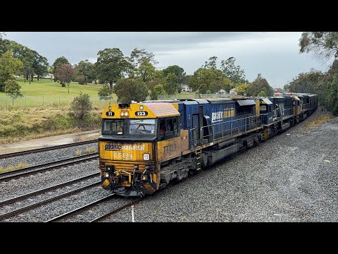 Pacific National’s TT123, 9026 & 9031 at East Maitland - 1/7/25
