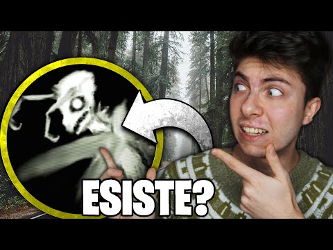 IL MATAMLOTH ESISTE DAVVERO? - Sottobosco | Jematria