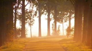 Sixteen Horsepower - Poor Mouth