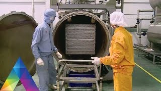 Download lagu LAPTOP SI UNYIL - EDUKASI FAUNA (20/4/16) 3-1 mp3