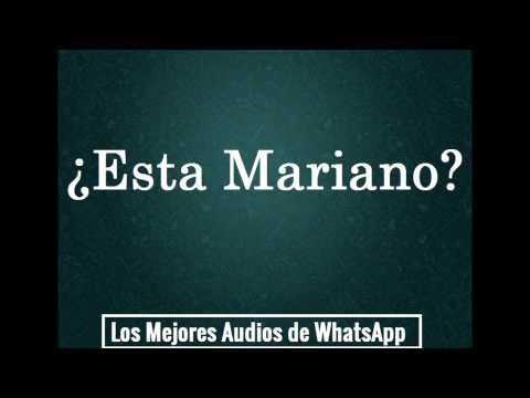 ¿Esta Mariano? - Los Mejores Audios de WhatsApp