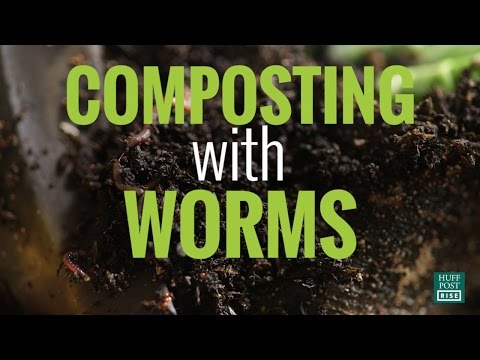 How To Start Your Very Own Worm Composting Bin At Home I HuffPost #Reclaim