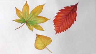 Смотреть онлайн Как рисовать акварелью листья поэтапно