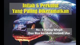 Download lagu 5 MOST SACRED DOVE || No: 5 Most Winged and can turn into a Snake || mp3