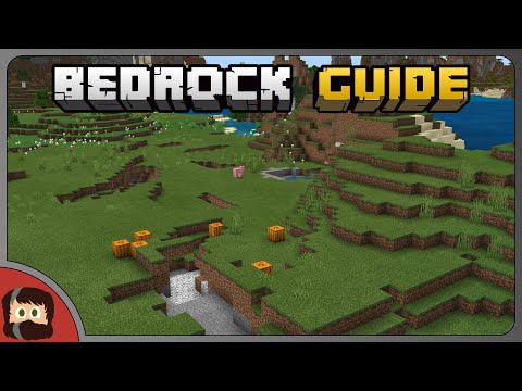 Starting A New World | Bedrock Guide EP 01 | Survival Tutorial Lets Play | Minecraft