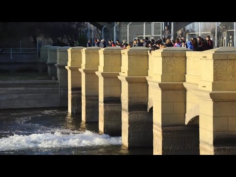 Río Negro inauguró la temporada de riego 2025 en el Alto Valle