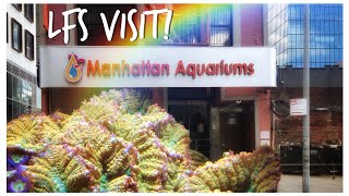 We Visit Manhattan Aquariums, New York