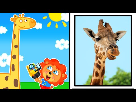 Lwiątko | Śmieszne obrazki zwierząt | Kreskówka dla dzieci | Bajki Po Polsku