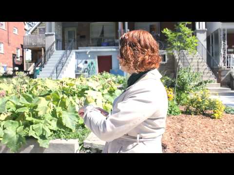 NEIGHBOURHOOD WATCH - In Situ Animation Project