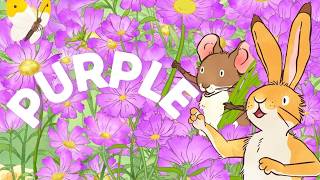 Learning the Colour Purple | Guess How Much I Love You Preschool Cartoon 💜🐰