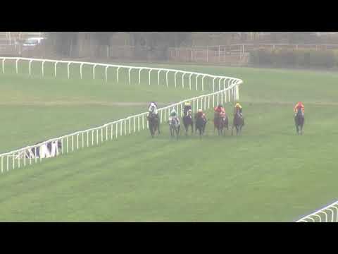 4. dostih - CENA AUTO JAROV KUNRATICE - Videa z Ceny prezidenta republiky 2018 v Chuchli