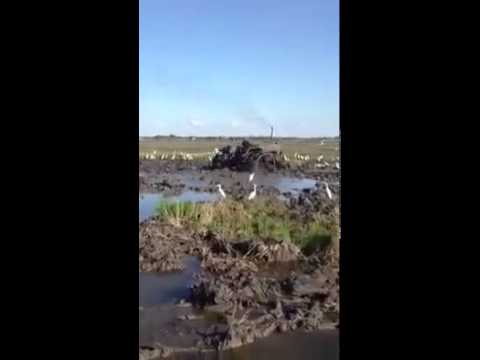 Trecker im moor extrem