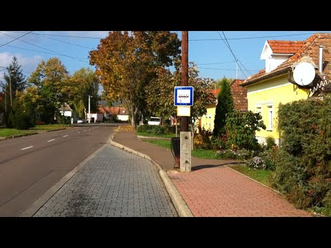 Eger 14-es járat; BERVA - Pásztorvölgy - Lajosváros