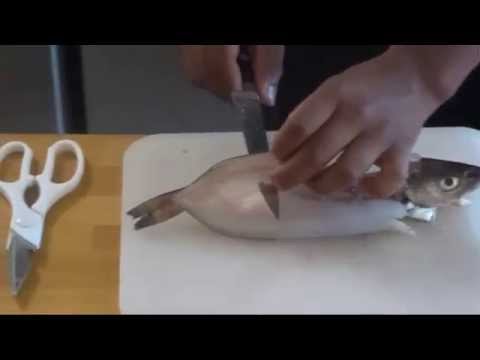 download lagu mp3 mp4 Merlan, download lagu Merlan gratis, unduh video klip Merlan