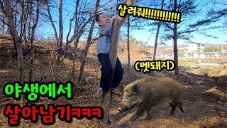 유튜브 썸네일