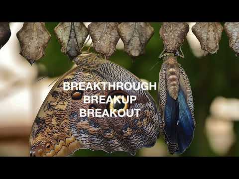Breakthrough Breakdown Breakout