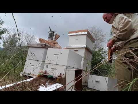 Как я отбираю медные рамки на откачку . Первый мед 2018 года