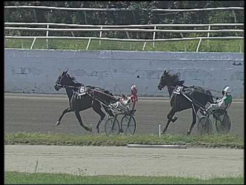 Trotto 02/06/2016 - 3° corsa