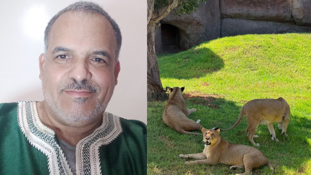  عالم الحيوانات البراءة من الشر أعشق الطبيعة والهدوء