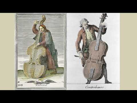 Carl Ditters von Dittersdorf - Concerto for double bass (contrabasso) No.2 in D major, Kr.172 [1762]